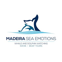 Madeira Sea Emotions - Boat Tours