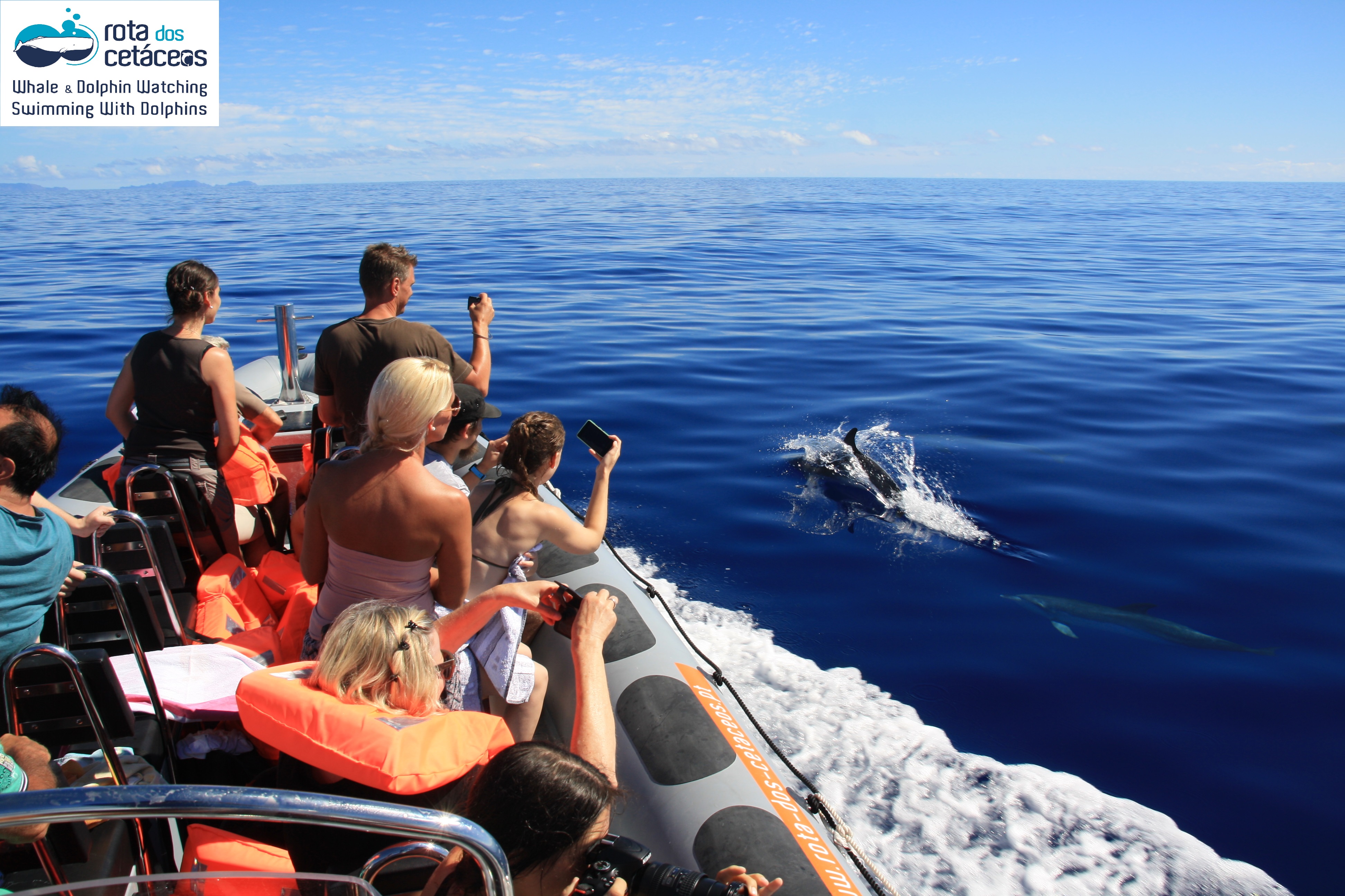 Rota dos Cetáceos, LDA