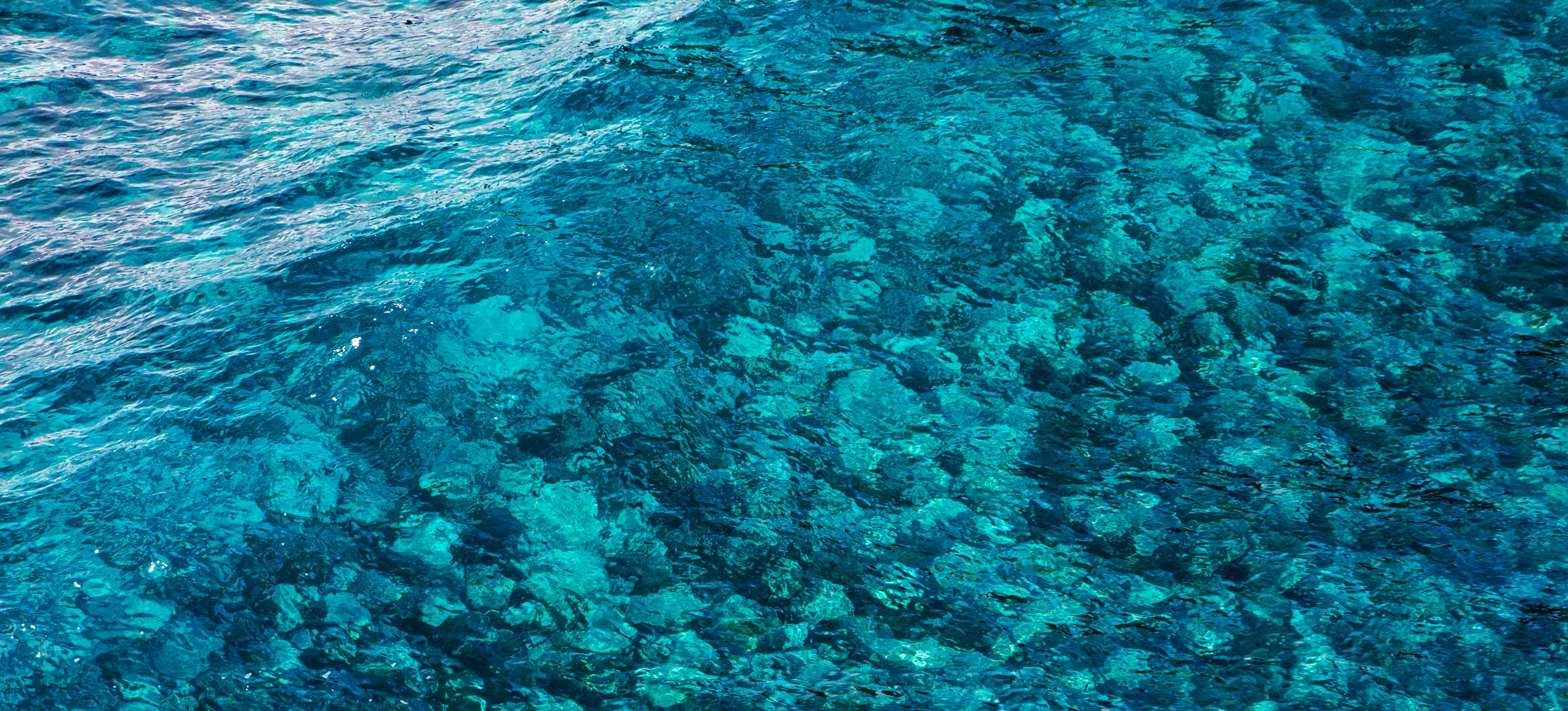 Banner 0