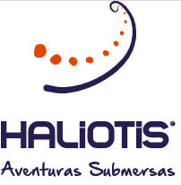 Haliotis